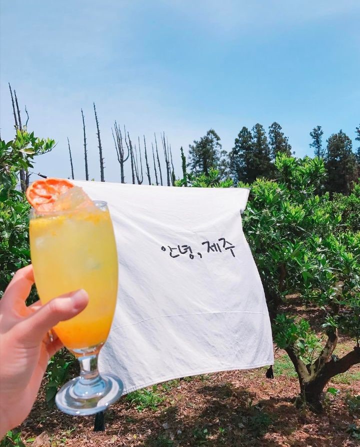 제주도 카페