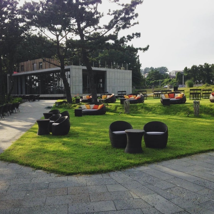 제주도 카페