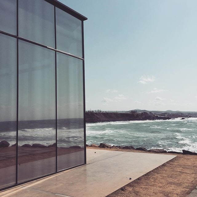 제주도 카페