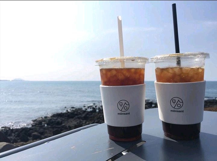 제주도 카페