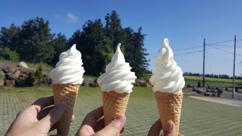 제주도 카페