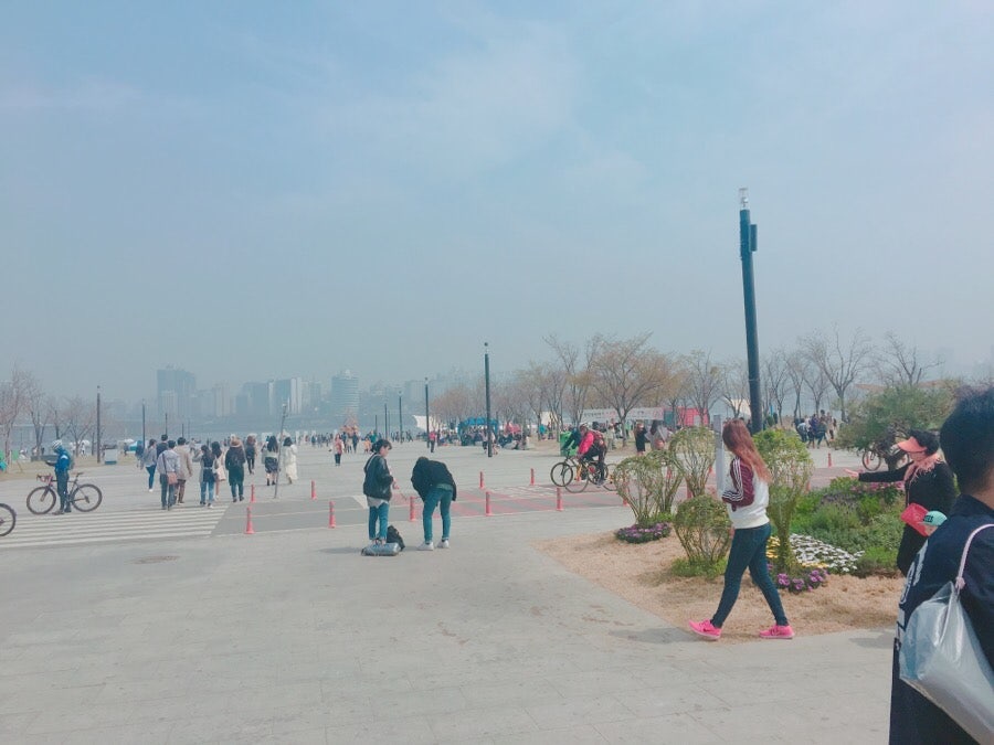 벚꽃 피크닉 페스티벌