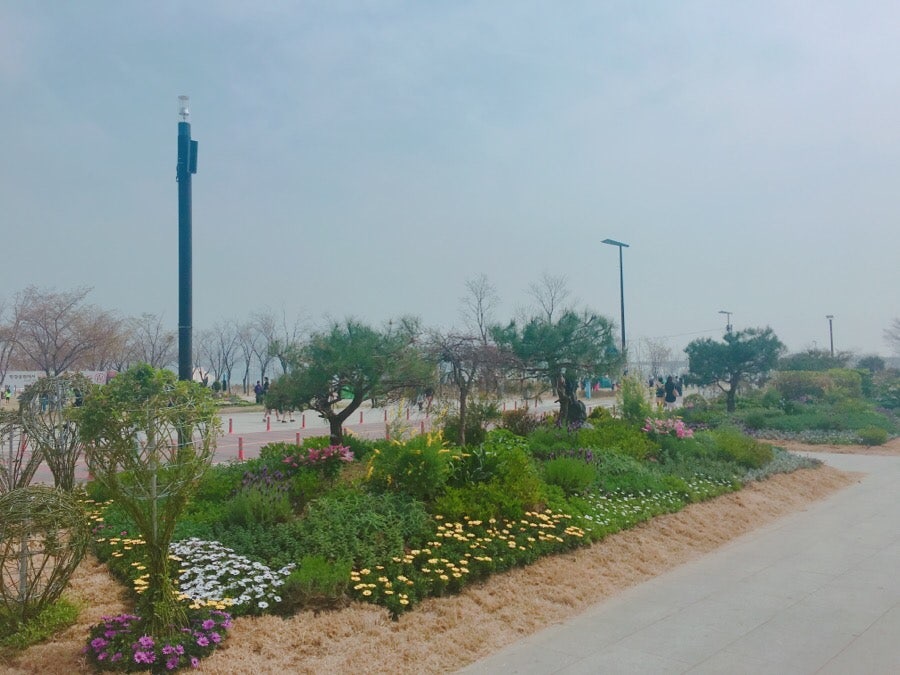 벚꽃 피크닉 페스티벌