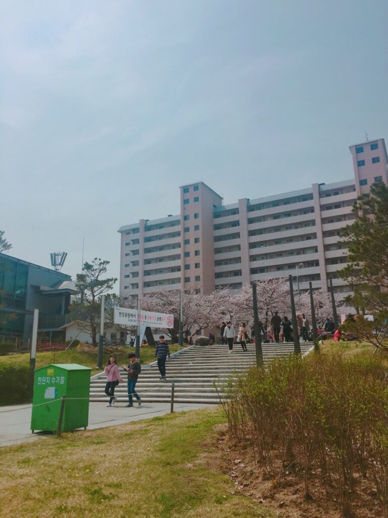 벚꽃 피크닉 페스티벌