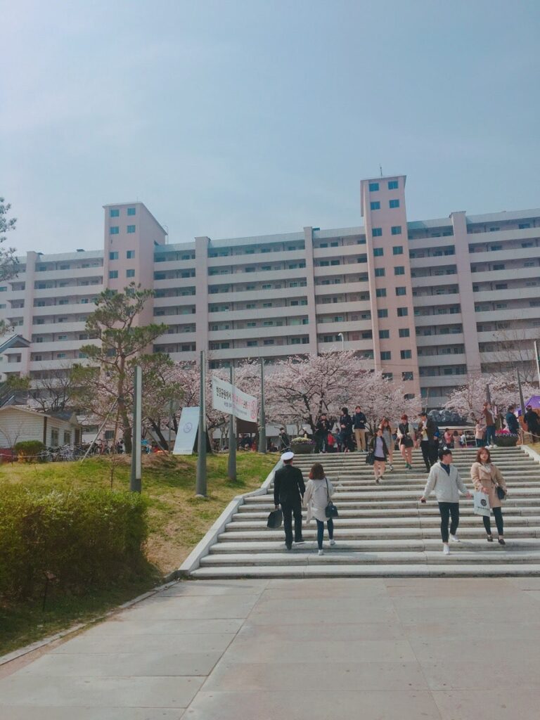 벚꽃 피크닉 페스티벌