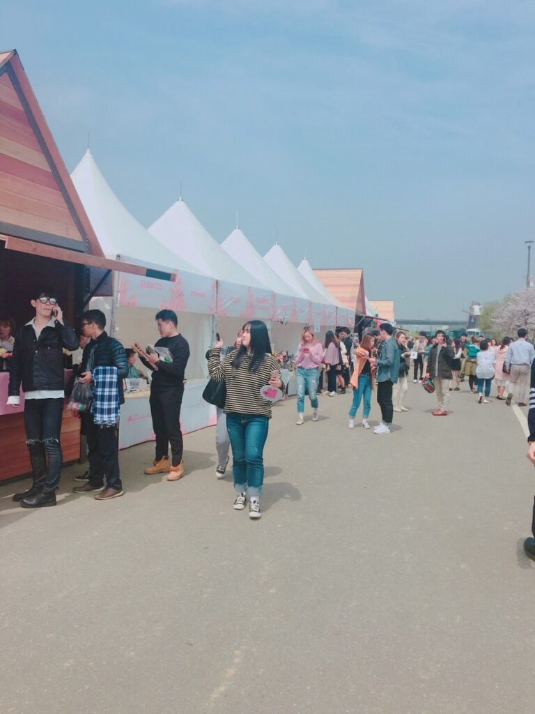 벚꽃 피크닉 페스티벌