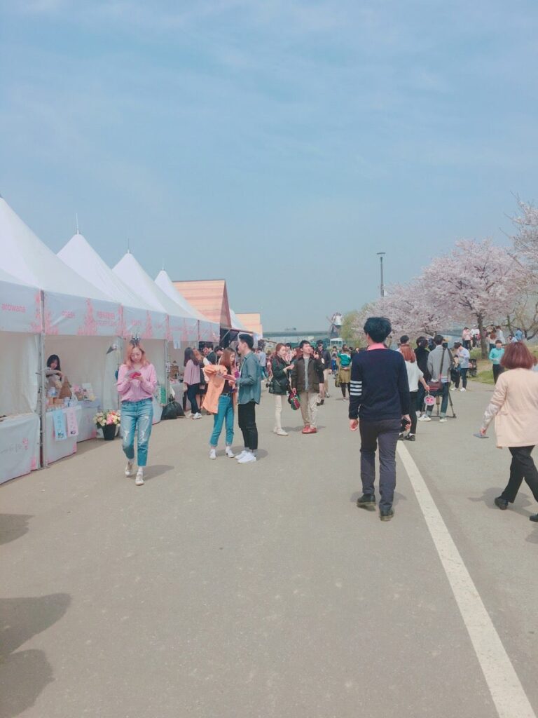벚꽃 피크닉 페스티벌