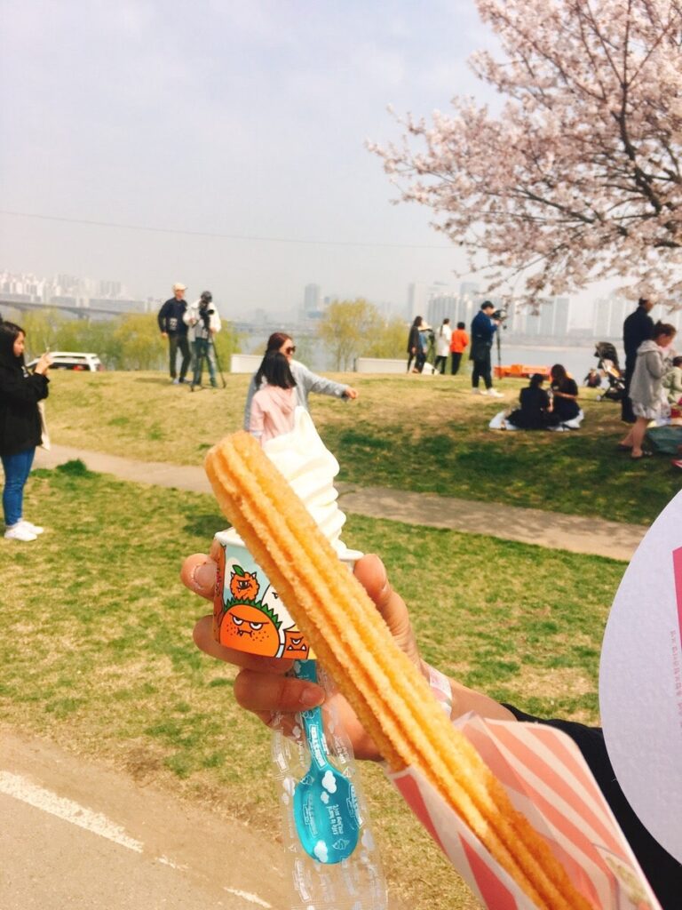 벚꽃 피크닉 페스티벌