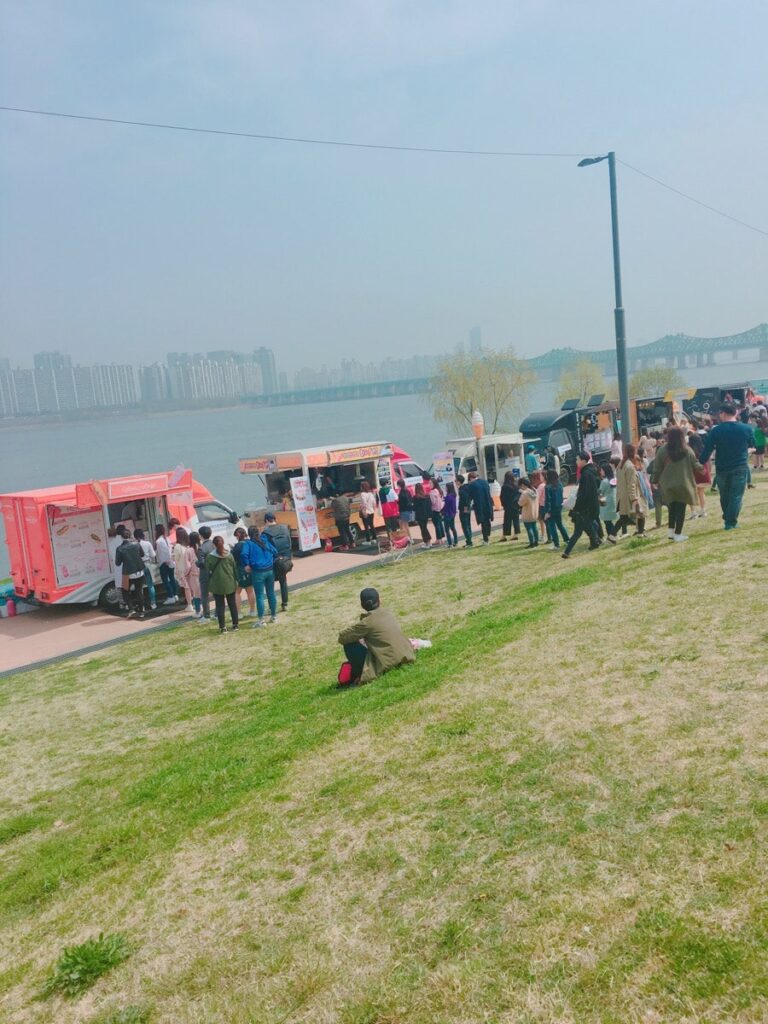 벚꽃 피크닉 페스티벌