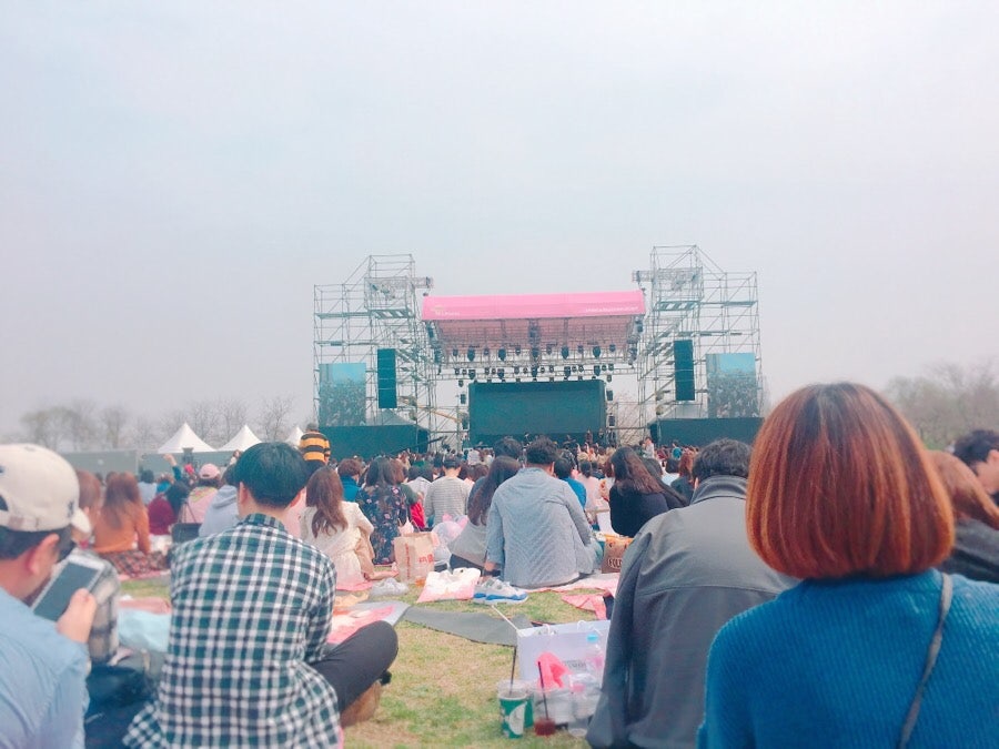 벚꽃 피크닉 페스티벌