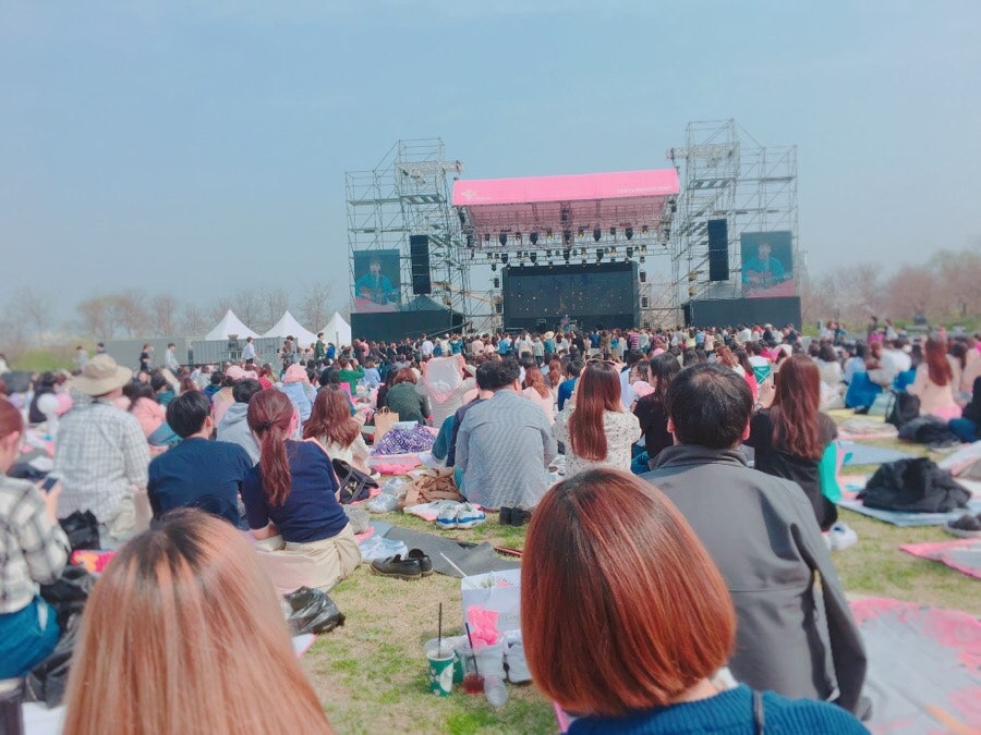 벚꽃 피크닉 페스티벌