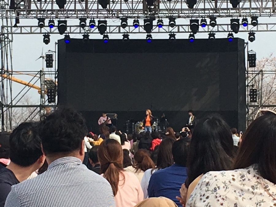 벚꽃 피크닉 페스티벌