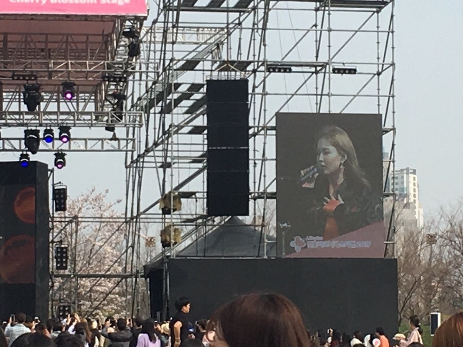 벚꽃 피크닉 페스티벌