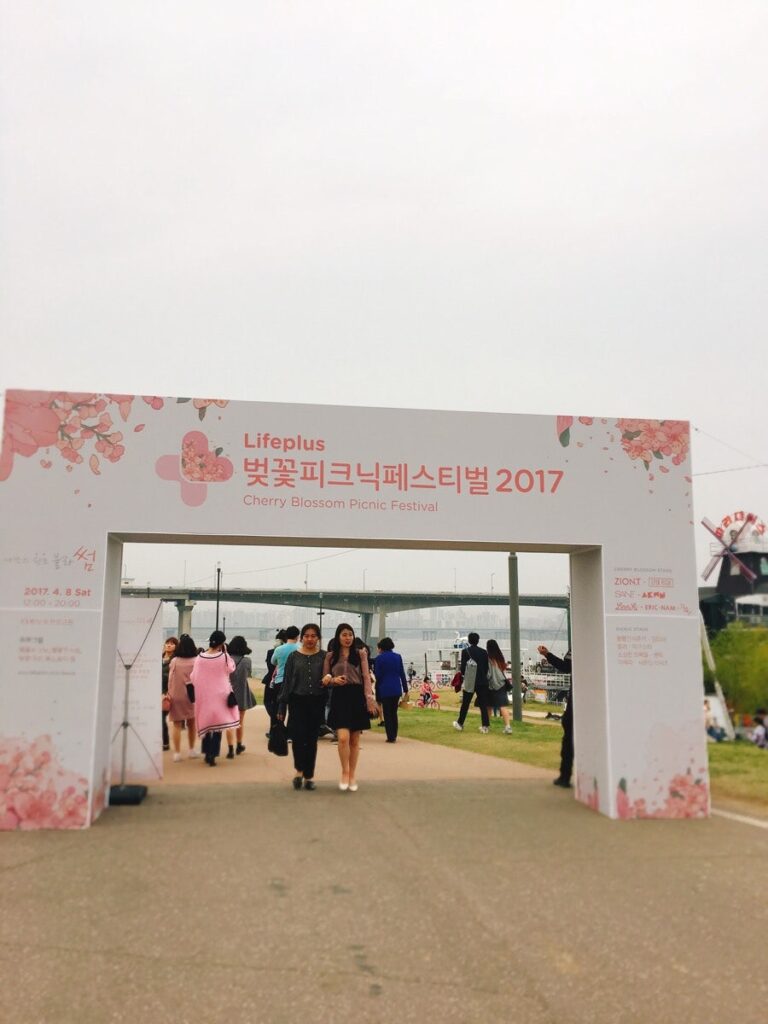 벚꽃 피크닉 페스티벌