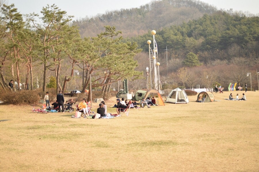 신정호