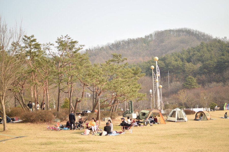 신정호