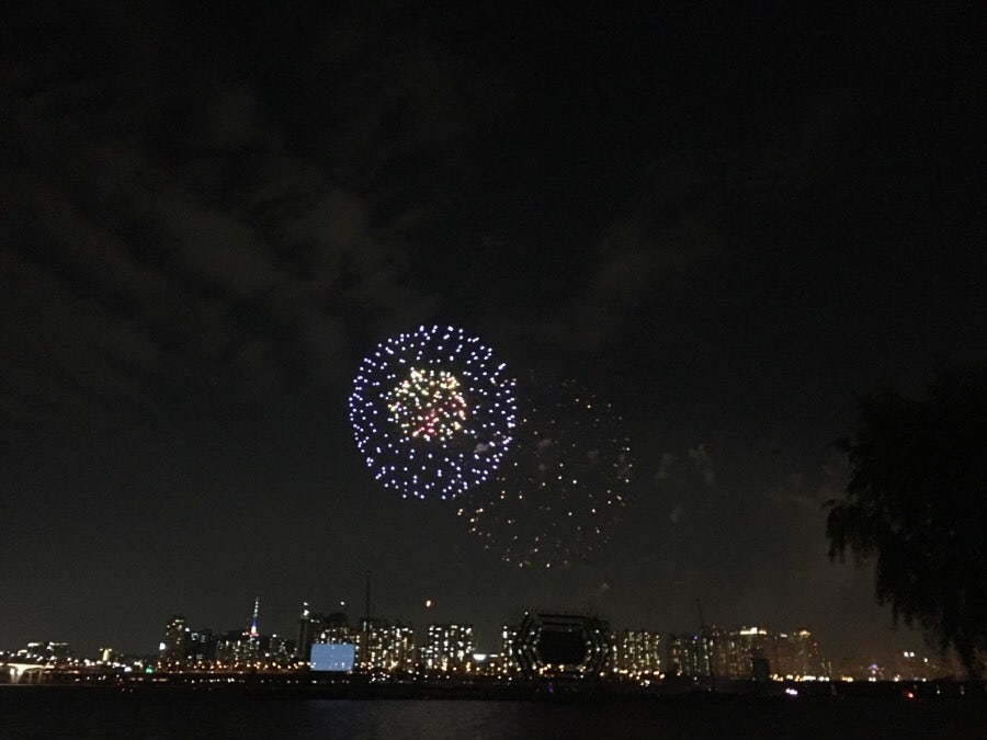 Japanese fireworks display, photo 13