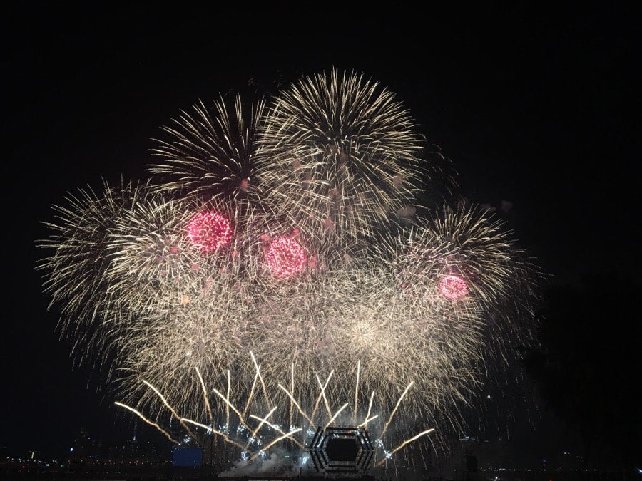 Japanese fireworks display, photo 22