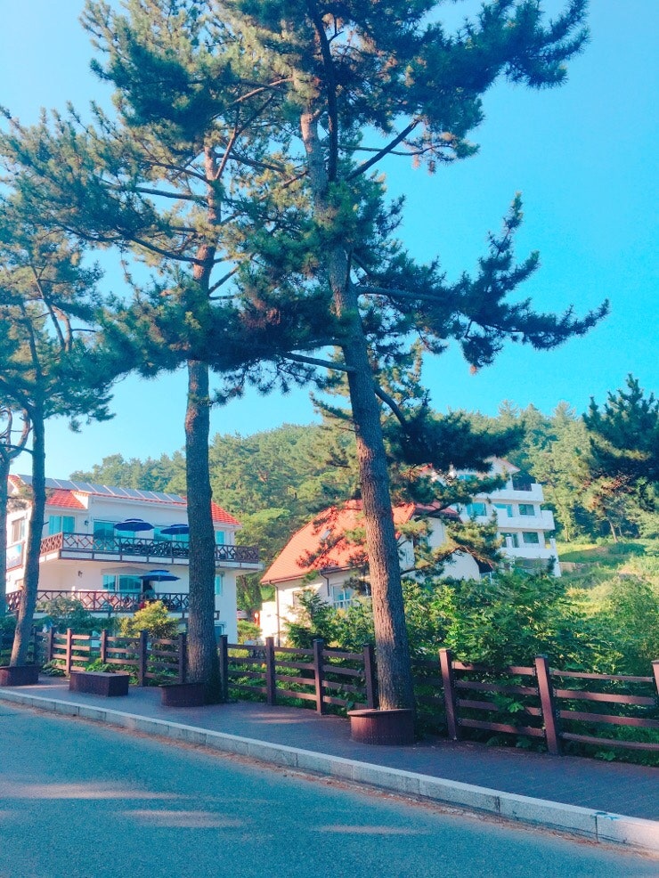 Orange-roofed houses, photo 79