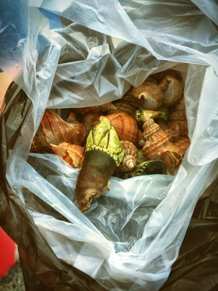 Whelks and turtle hands stall