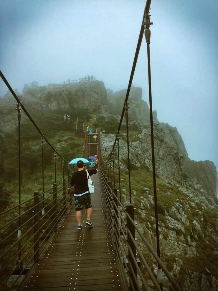 Bridge swaying over water