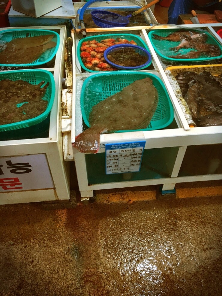 통영 숙소