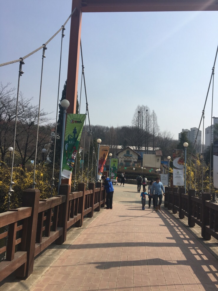 Families at the park