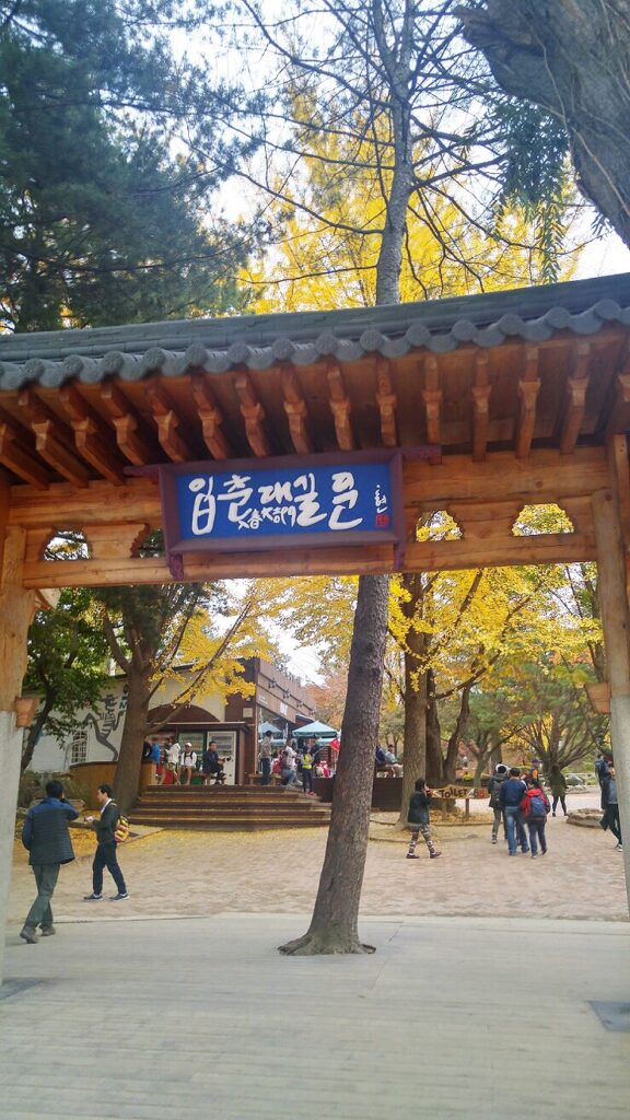 Ginkgo trees