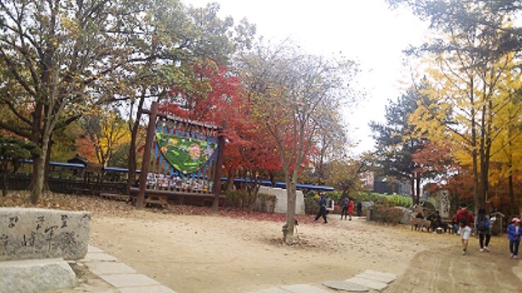 Red autumn leaves