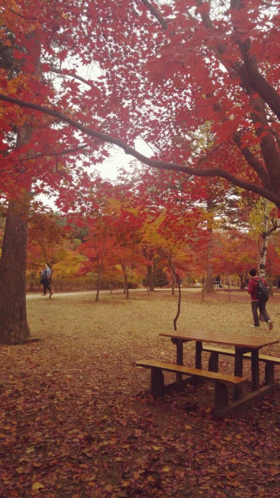 Parents enjoying autumn