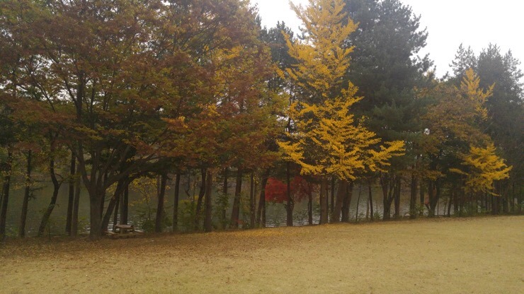 Farewell to Nami Island