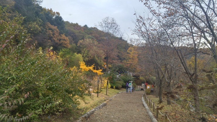 제이드가든 수목원