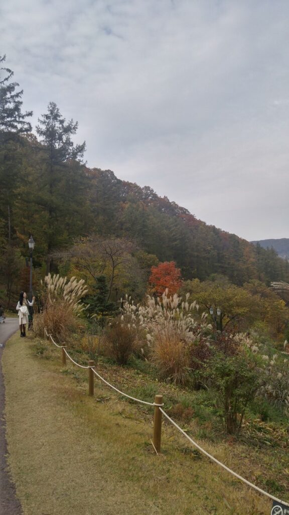 제이드가든 수목원