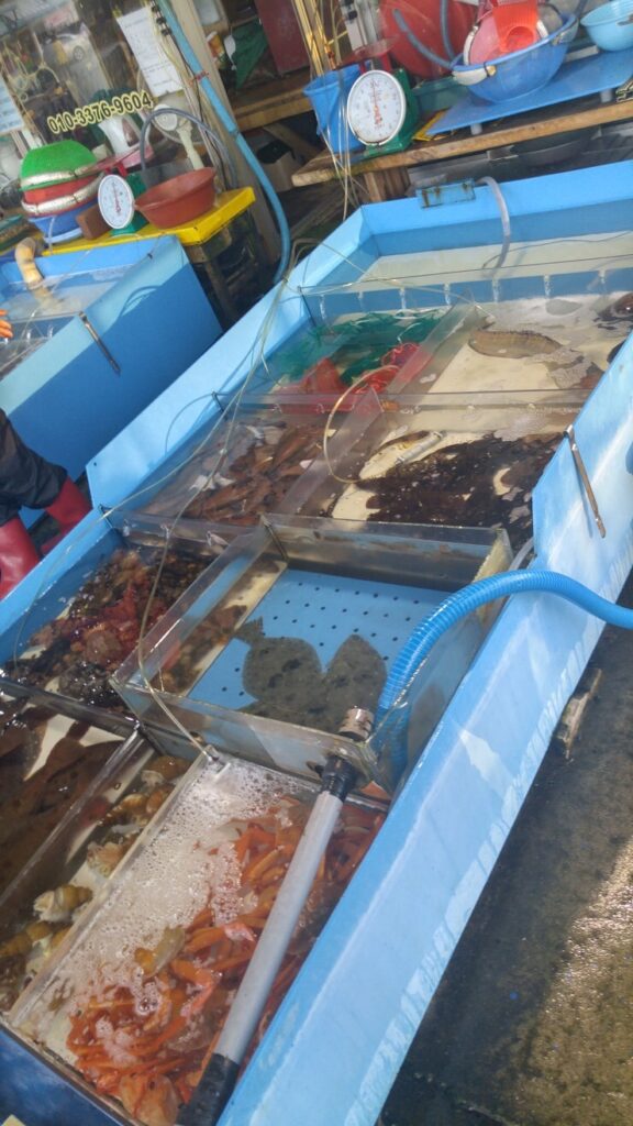 동명항 맛집