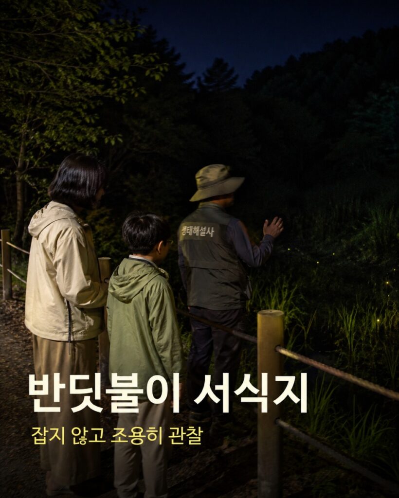 Child observing fireflies quietly with a guide