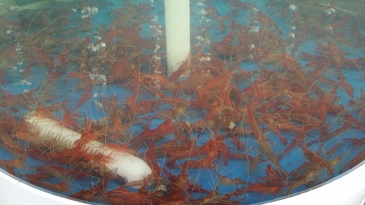 속초 대포항