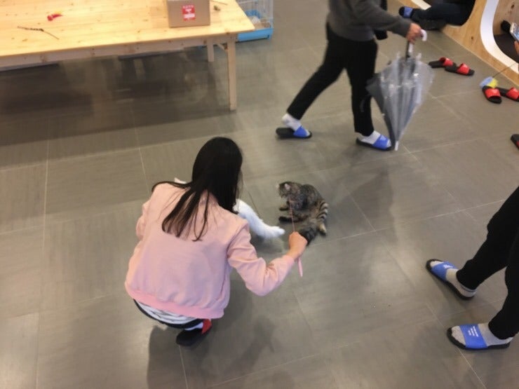안양 만화카페