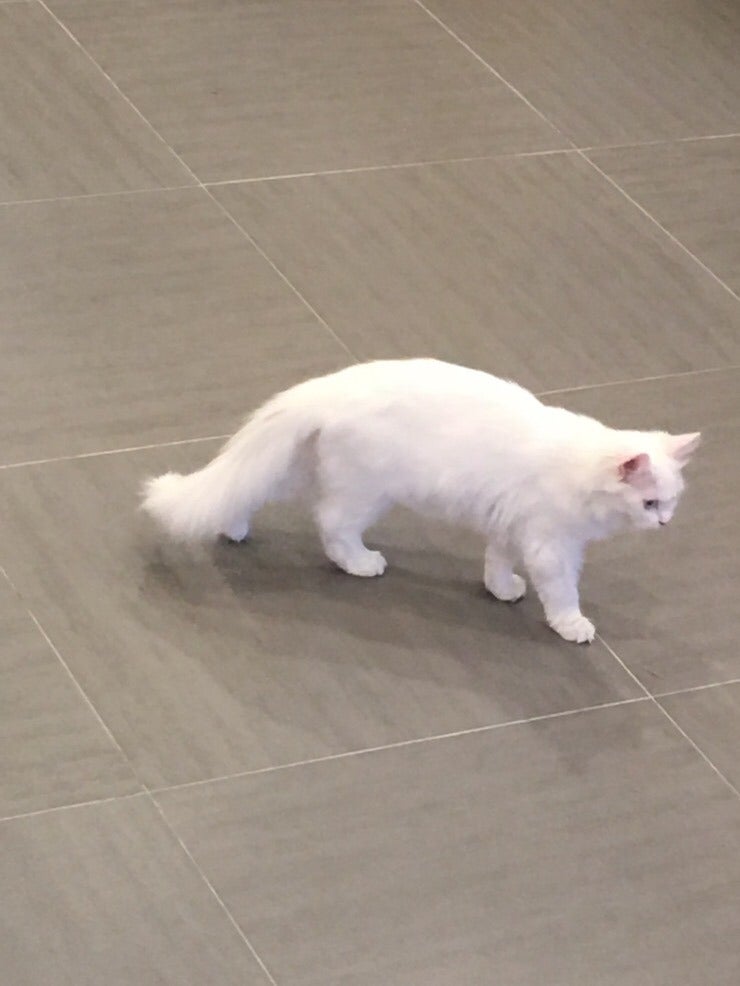 안양 만화카페