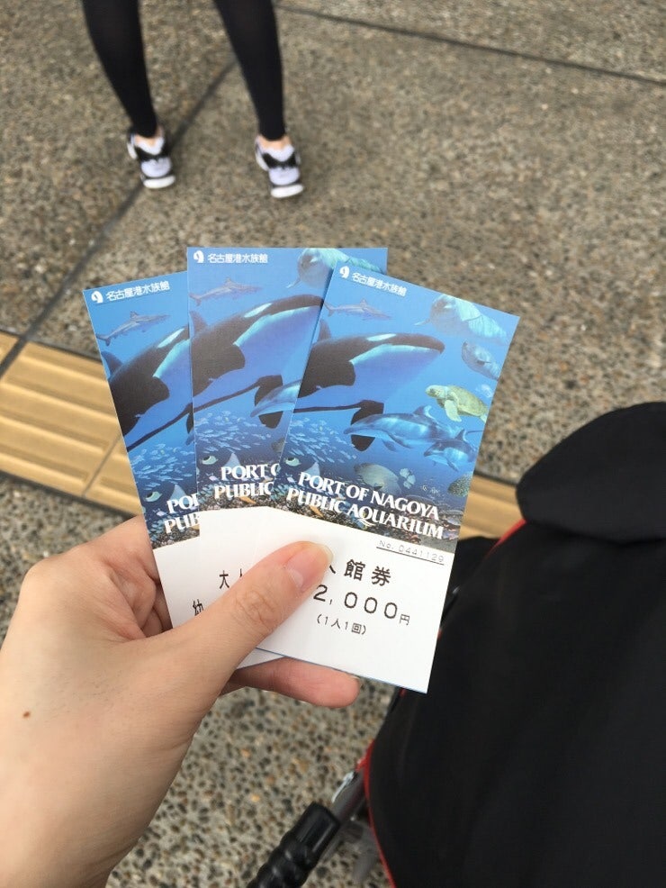 Families at the aquarium