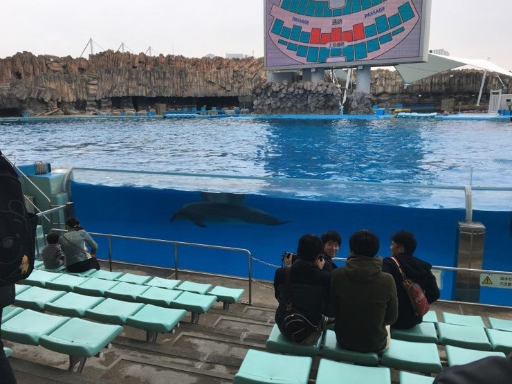 Dolphin show at Nagoya Aquarium