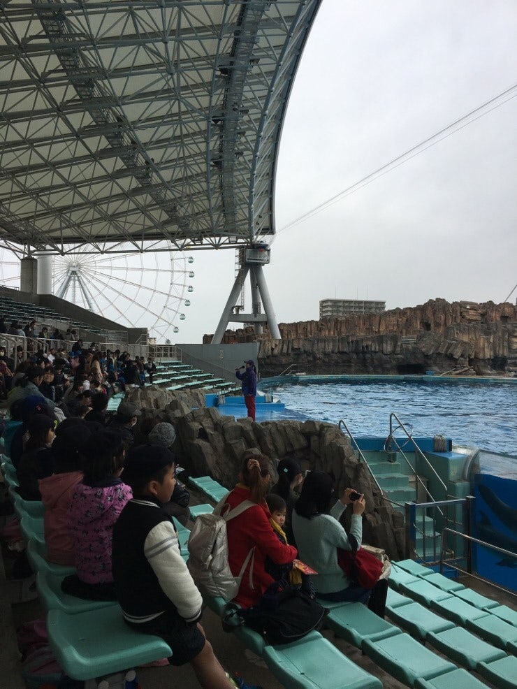 Dolphin show seats