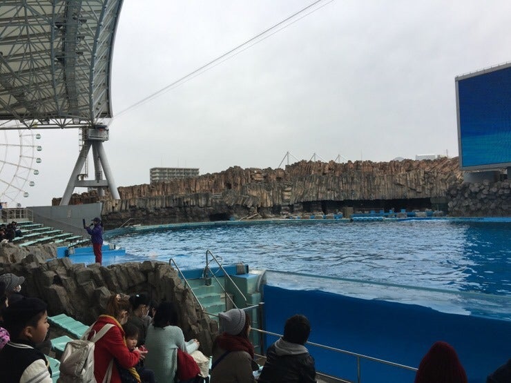 Dolphin show venue