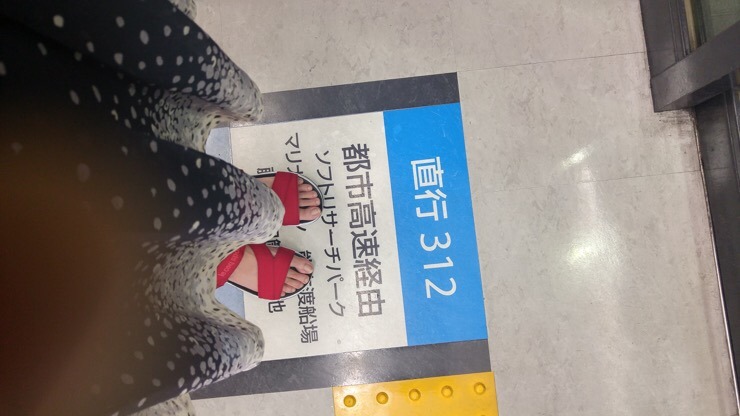 Fukuoka City Pass