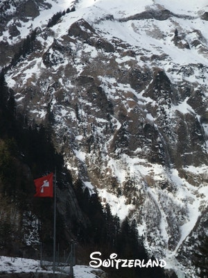The Swiss Alps and the lake from above