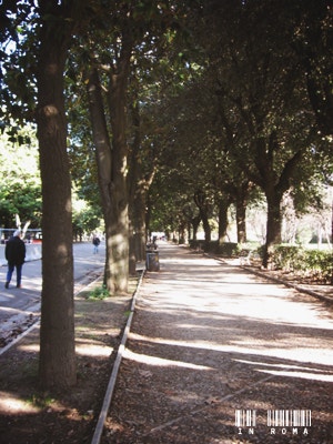 Borghese Park in winter
