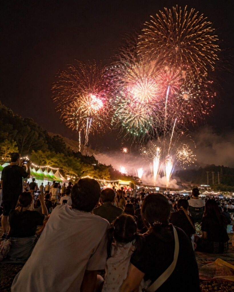 Fireworks over Goesan Organic Expo Plaza
