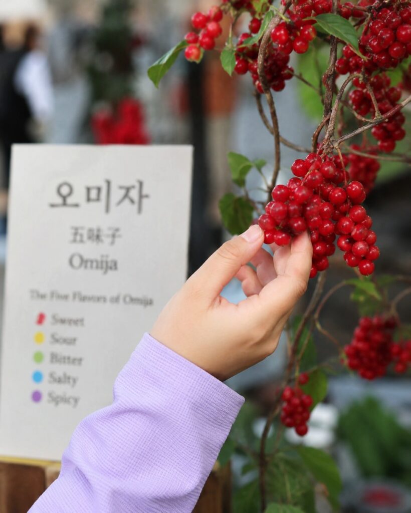 Fresh omija berries and omija syrup products