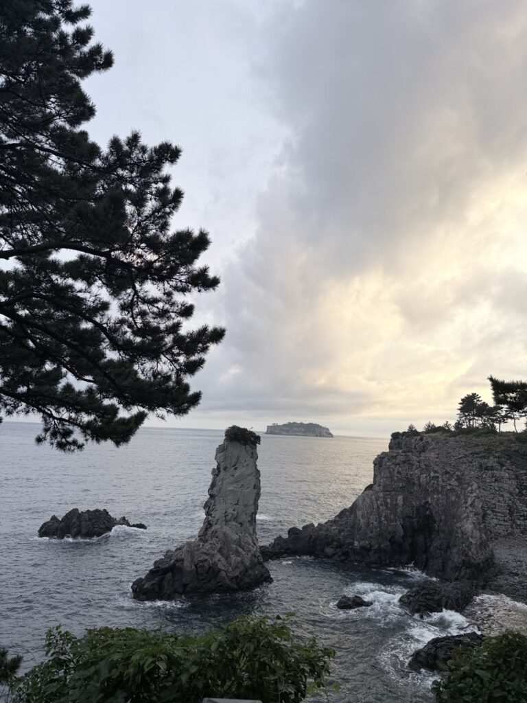 슬로우말차 제주 중문 여행과 함께 묶기 좋은 카페