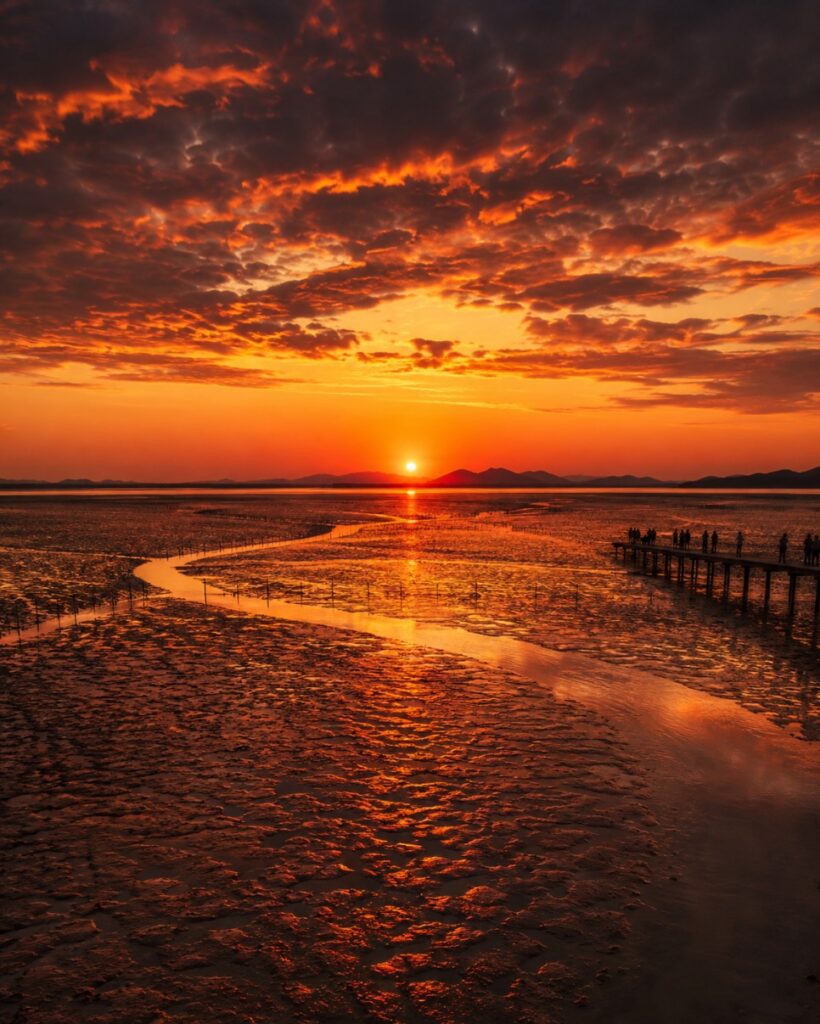 Mudflat boardwalk at sunset in Muan