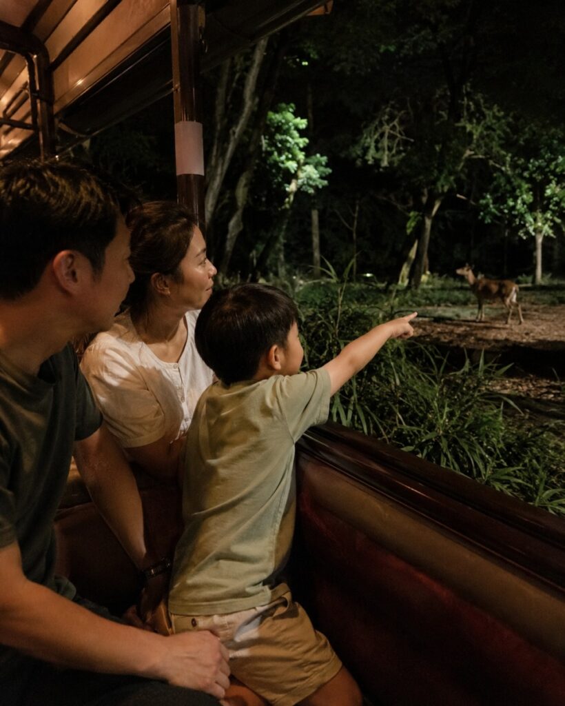 Safari Adventure Tram at the Night Safari